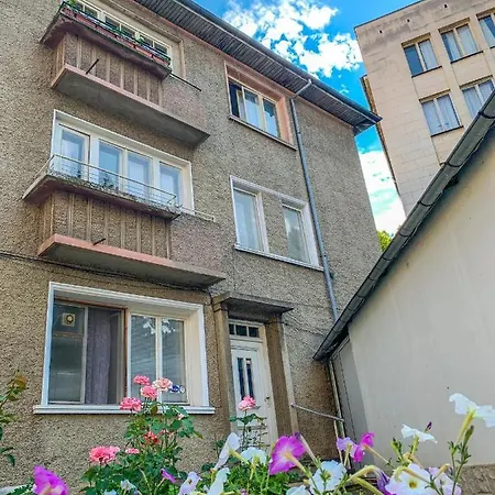 Purple Apartman