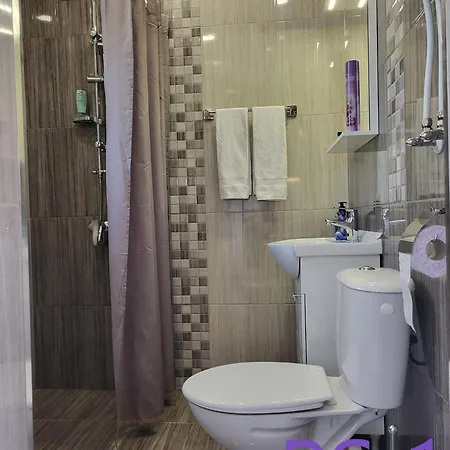 Purple 벨리코 터르노보