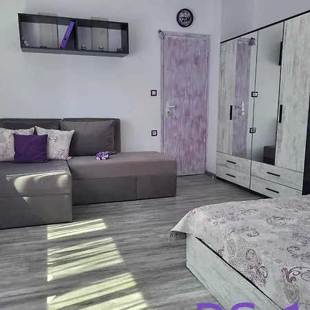Purple Apartamento